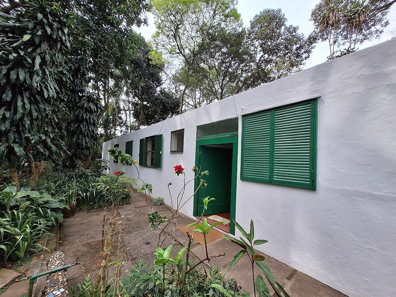 Parede branca com porta e janela de venezianas verdes entre plantas e árvores, em corredor de jardim
