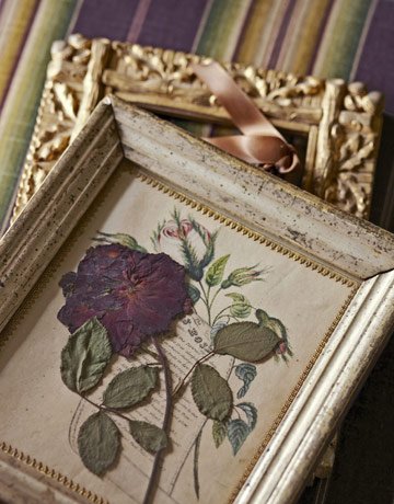 Rosas prensadas em moldura