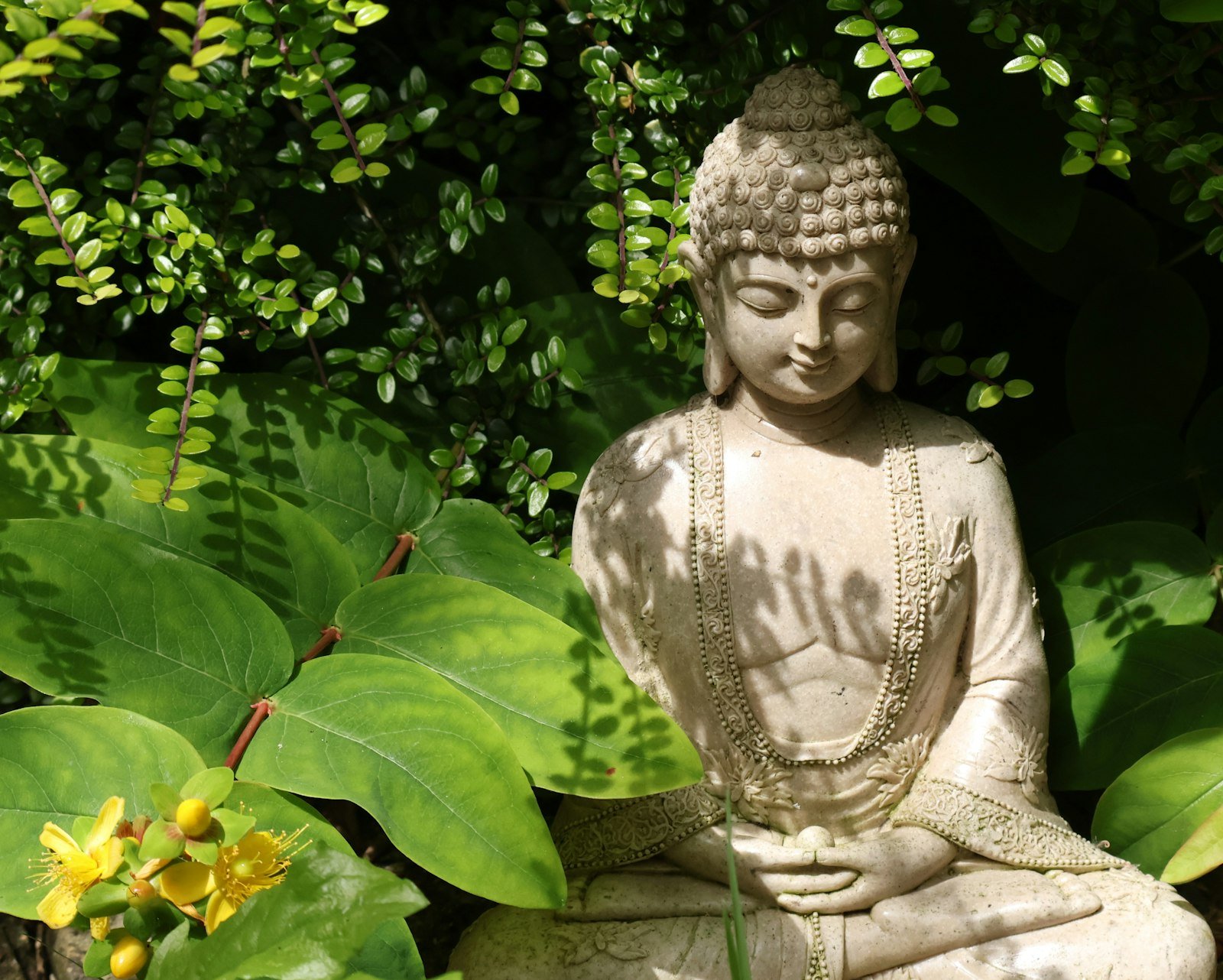 Estátua de Buda em pedra cercada por plantas verdes